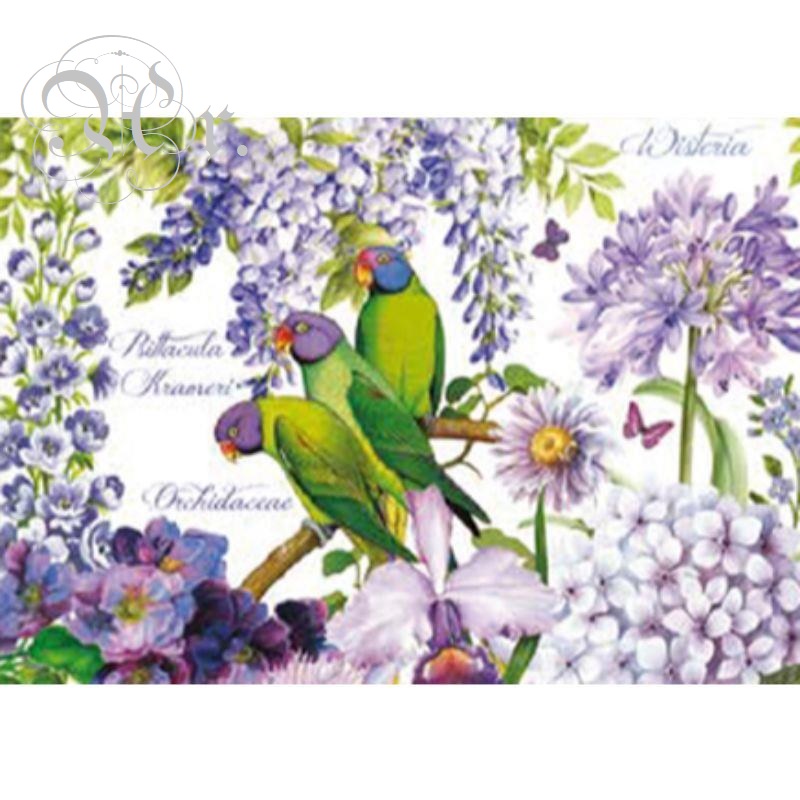 Papel Arroz 35*50 Dgr310