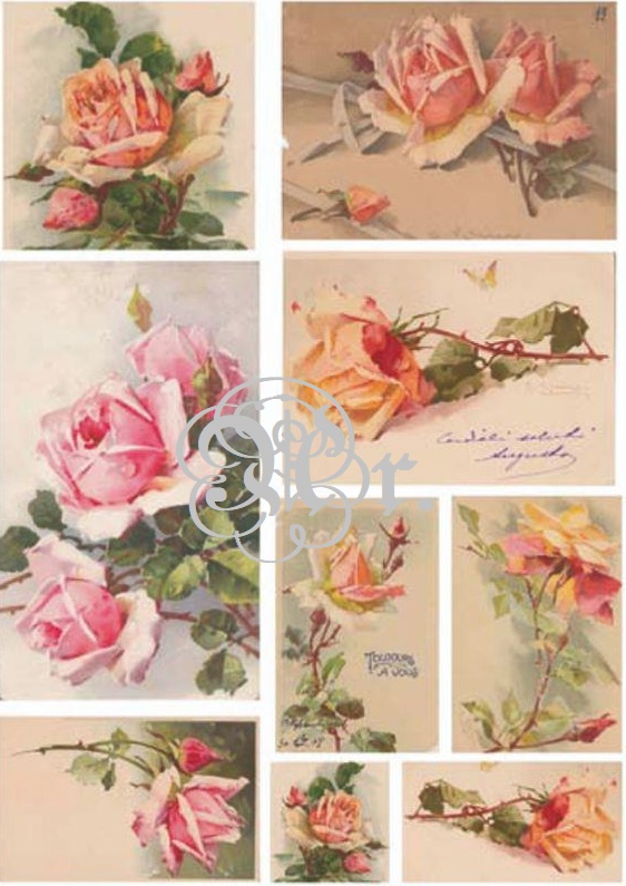 Papel Arroz 35*50 Dgr151