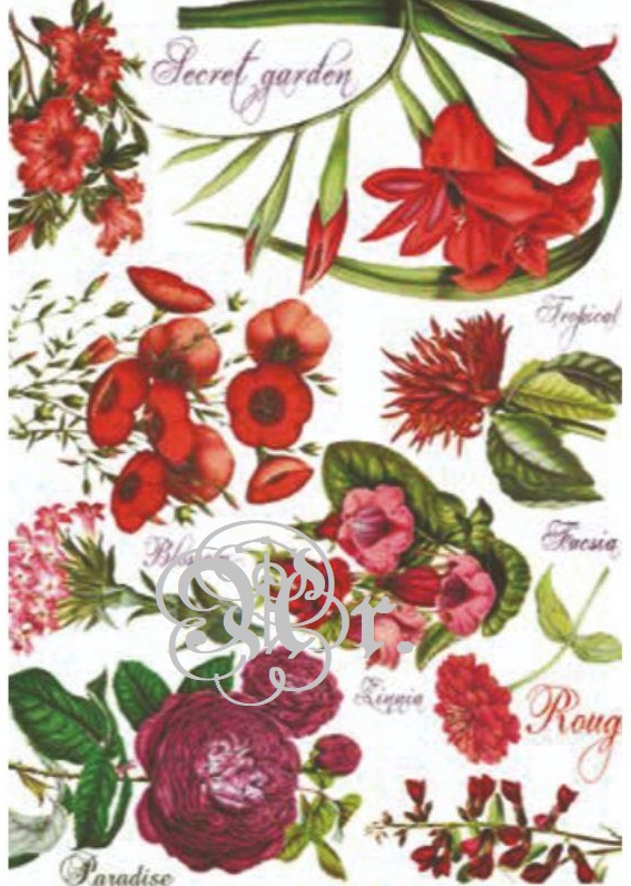 Papel Arroz 35*50 Dgr311