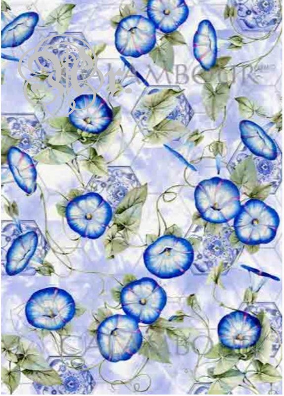 Papel Arroz 35*50 Tcr027