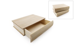 [1113485] Caja Libro 485 25*18*6 Cm.