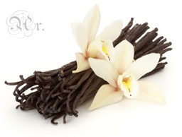 [0931310] Esencia 20 Ml. Vainilla