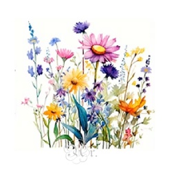 [0886061] Transfer Textil Dtf 18*18 Cm. Silvestre II