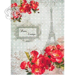 [0217232] Papel Arroz 35*50 Dgr232