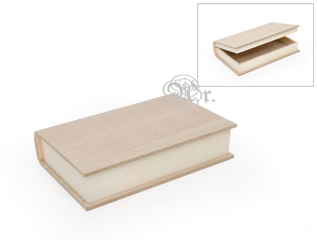 Caja Libro Bisagra 503 23*15.5*5 Cm.