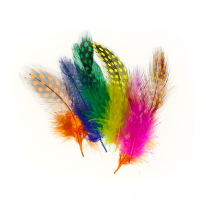 Set 30 Plumas Multicolor