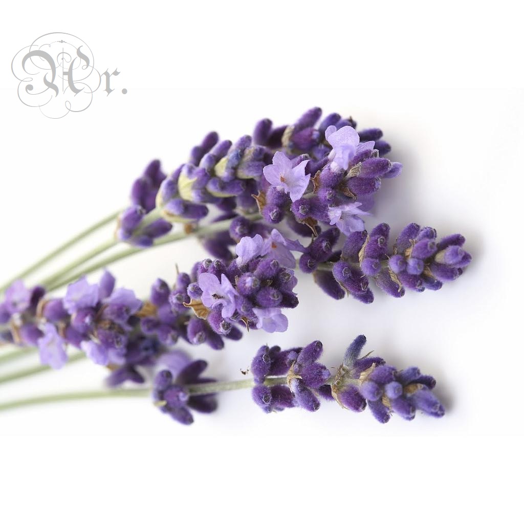 Esencia 20 Ml. Lavanda