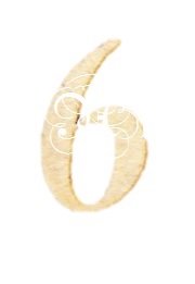 D.M. Numero 80 Mm. 6