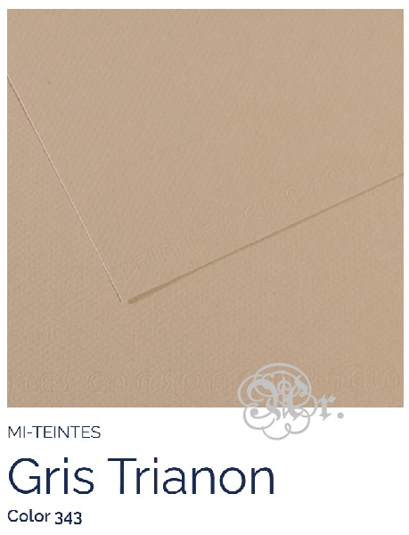 Papel Canson Mi-Teintes 343 gris trianón