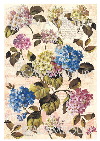 Papel Arroz 35*50 Dgr187