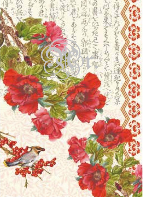 Papel Arroz 35*50 Tcr022