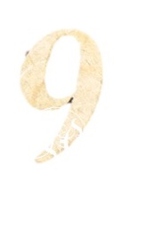 [31033049] D.M. Numero 80 Mm. 9