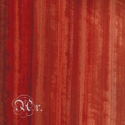 [0872113] Chapa Marqueteria Coral 20*15 Cm.