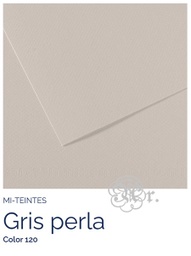 [0216120] Paper Canson Mi-Teintes 120 Gris Perla