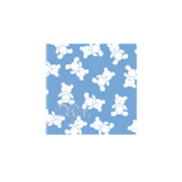 [0722429] Goma Eva Estampada 33*50 Cm.